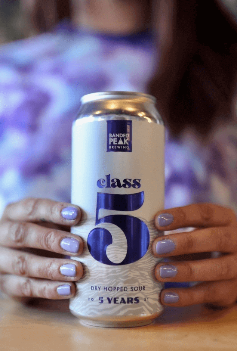 Shop Class 5 Dry Hopped Sour